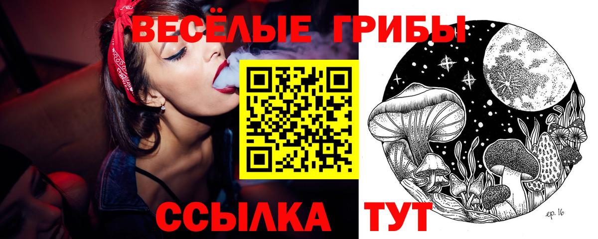 Псилоцибиновые грибы Psilocybine cubensis Рубцовск